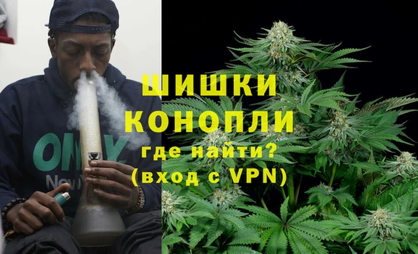 амф Липки
