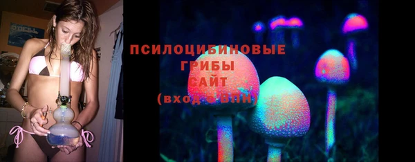 Альфа ПВП Лиски