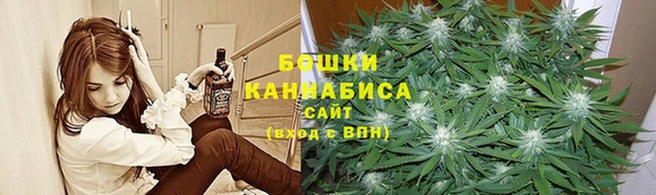 амф Липки