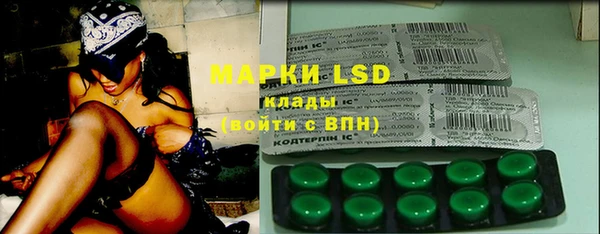 амф Липки