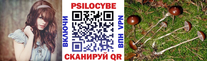 купить  сайты  Новотитаровская  Псилоцибиновые грибы мицелий 